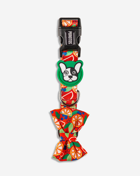 Collar con Moño Frutal